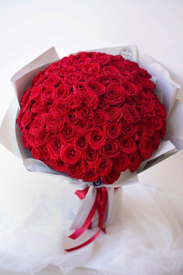 51 Red Roses Exclusive 🔥
