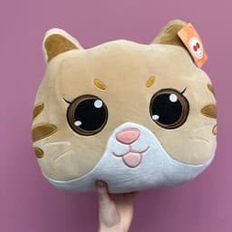 Soft toy- pillow cat0