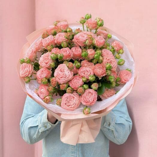 Bush roses are pionoid