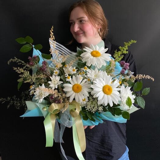 Daisy chamomiles