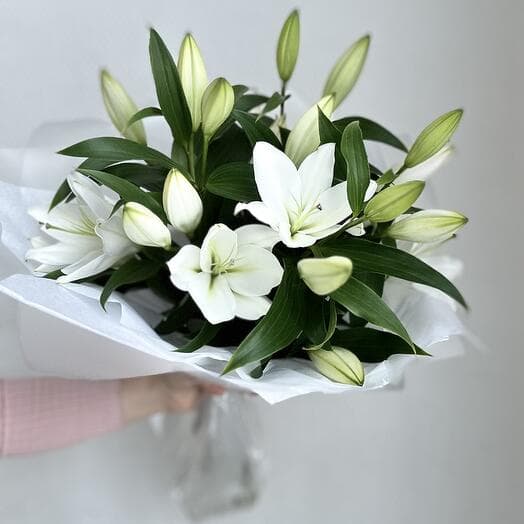 Lilies