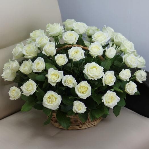 Basket of 51 Roses "White Roses Avancha"