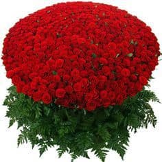 Букет из 1001 розы для вечной любви 🌹