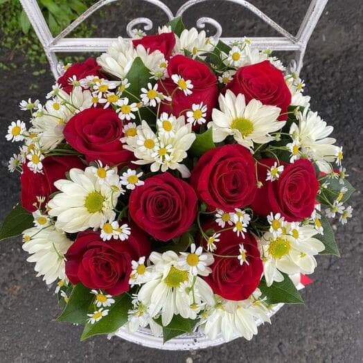 Flowers in the box "Veronica"