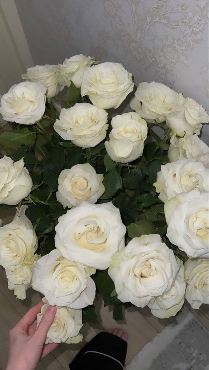 51 розы белые королевские