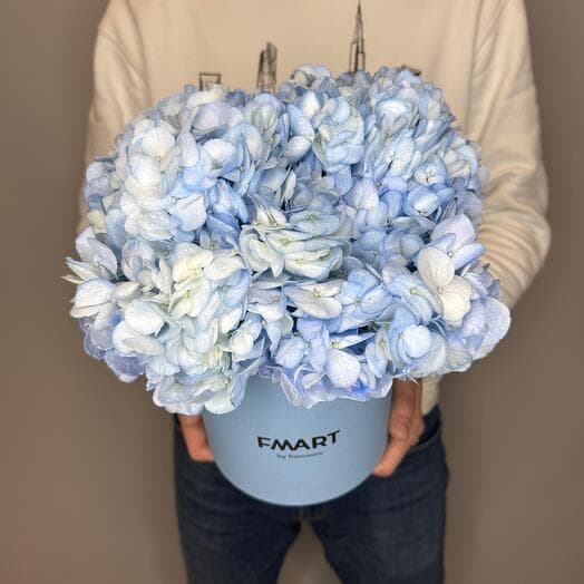Blue hydrangea