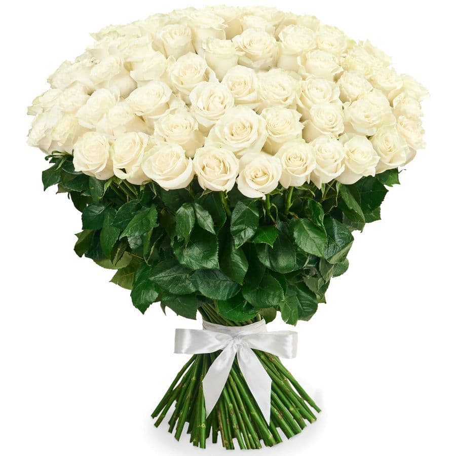 7 white roses
