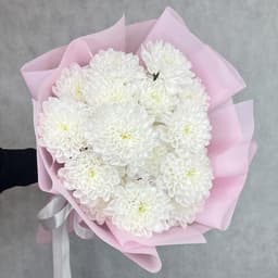 Монобукет Lucia из кустовой хризантемы Алтай0