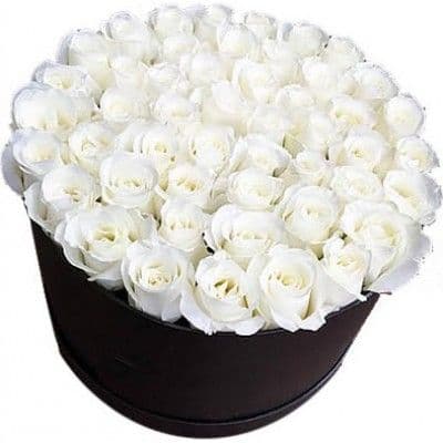 51 розы белые изысканные
