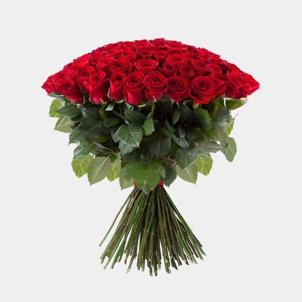 15 roses
