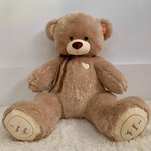 Bear