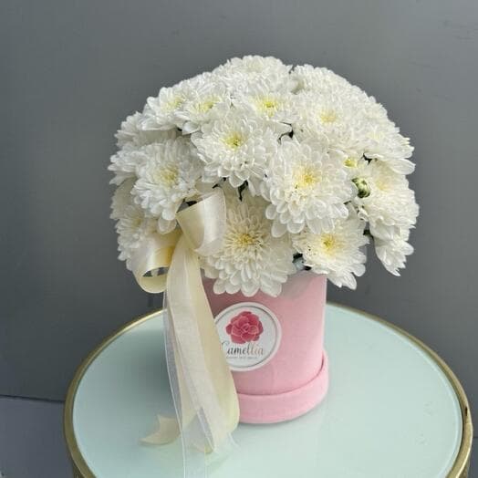 Cloud of tenderness