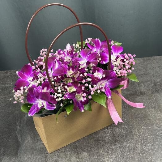 Dendrobium purple 💜 in the box