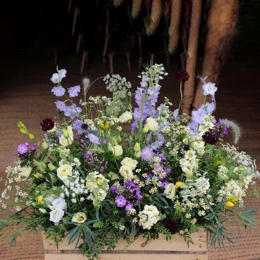Box with daisies and wildflowers