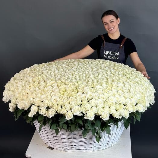 1001 роза белая