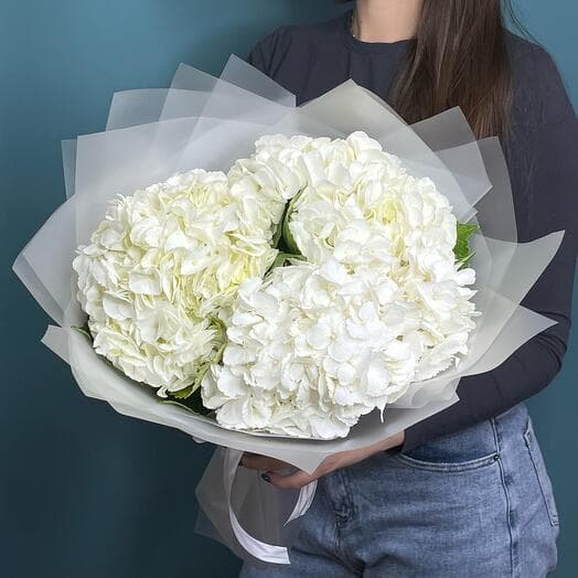 White hydrangeas 3 pcs