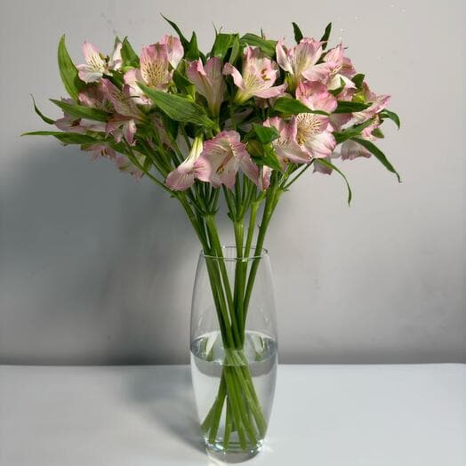 Pink Alstromeria in a VAZ