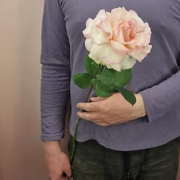 Французская роза 50см0