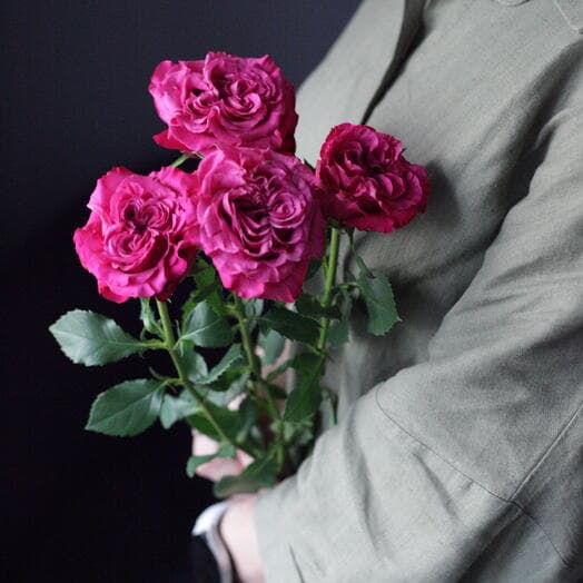 Rose bush pionivid BE Gracious