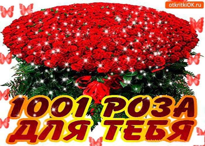 Букет из 1001 розы с доставкой 🌹