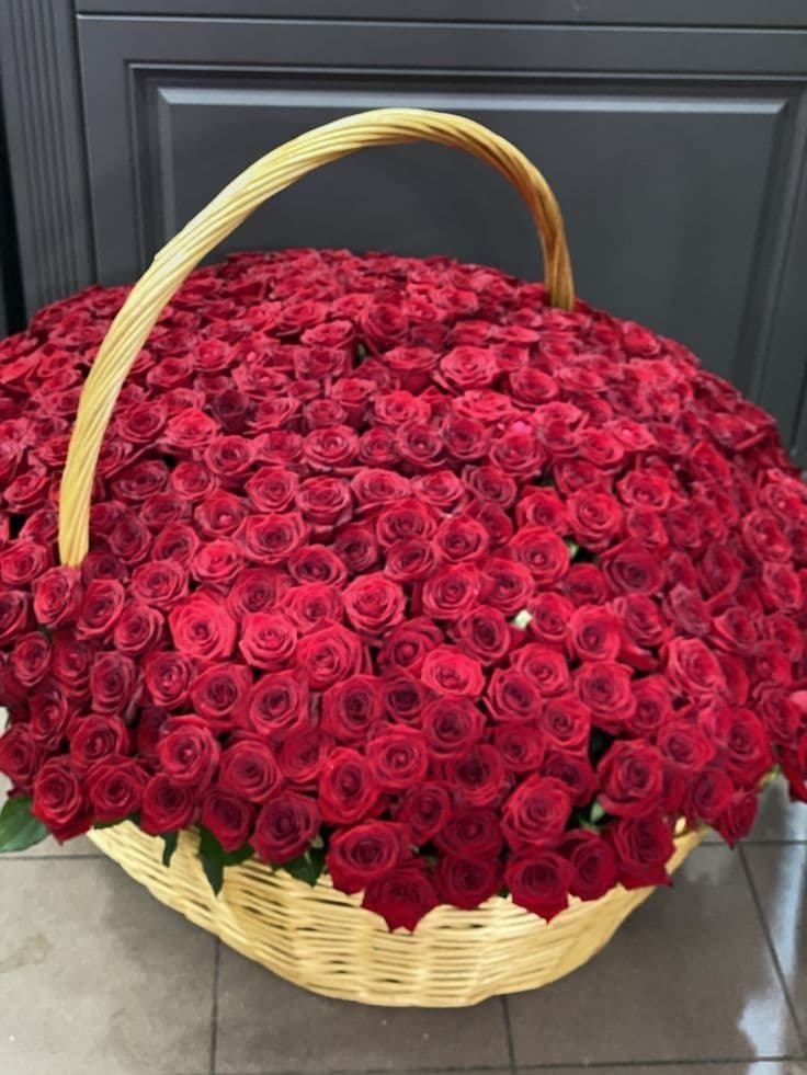 1001 Red Roses Royal 🌹👑