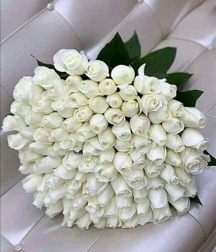 101 White Roses Luxurious