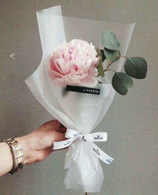 Уютное тепло 🌺