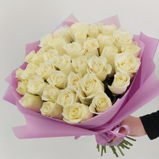 35 white roses Alba in purple packaging