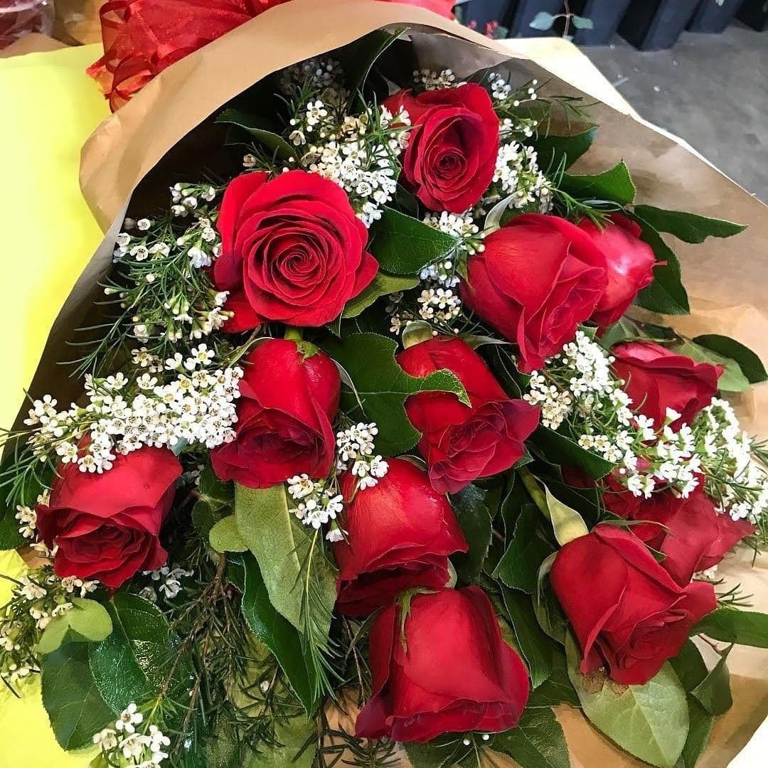 51 красная роза идеальная 💐