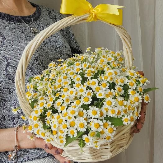 🌼 Master in a wicker basket. Field chamomiles