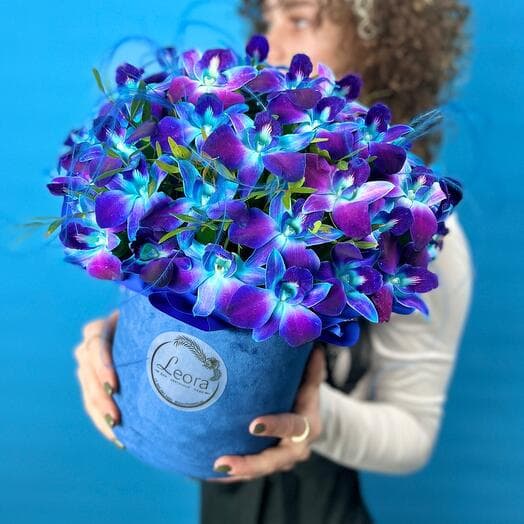 Bouquet of Orchid Cosmos. Monobuket 631. Leora Flowers House of Floral Fashion
