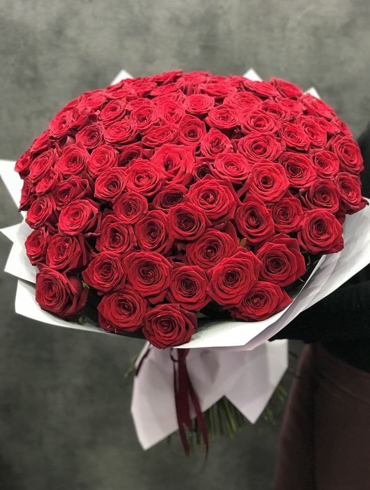 1001 красная роза величественная 💖🌹