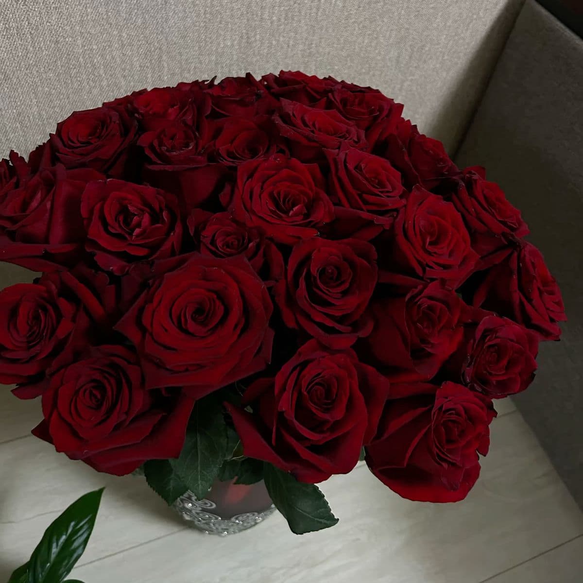 15 roses