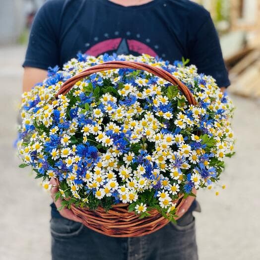 Basket of daisies and cornflowers
