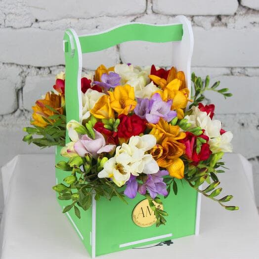 Composition 25 Freesia Mix in Kashpo