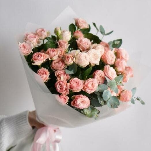 Mona pionovite bush roses Madame Bambastik, 9pcs