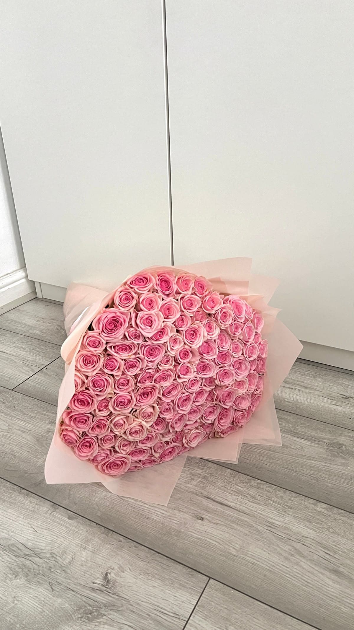 51 Pink Roses 50 cm Magnificent 💖