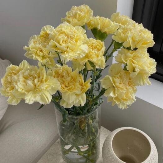 Lemon dianthus in the interior