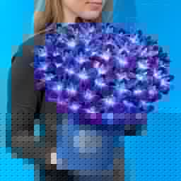 Flowers in the box. Orchids Cosmos. Composition 609. Leoraflowers0