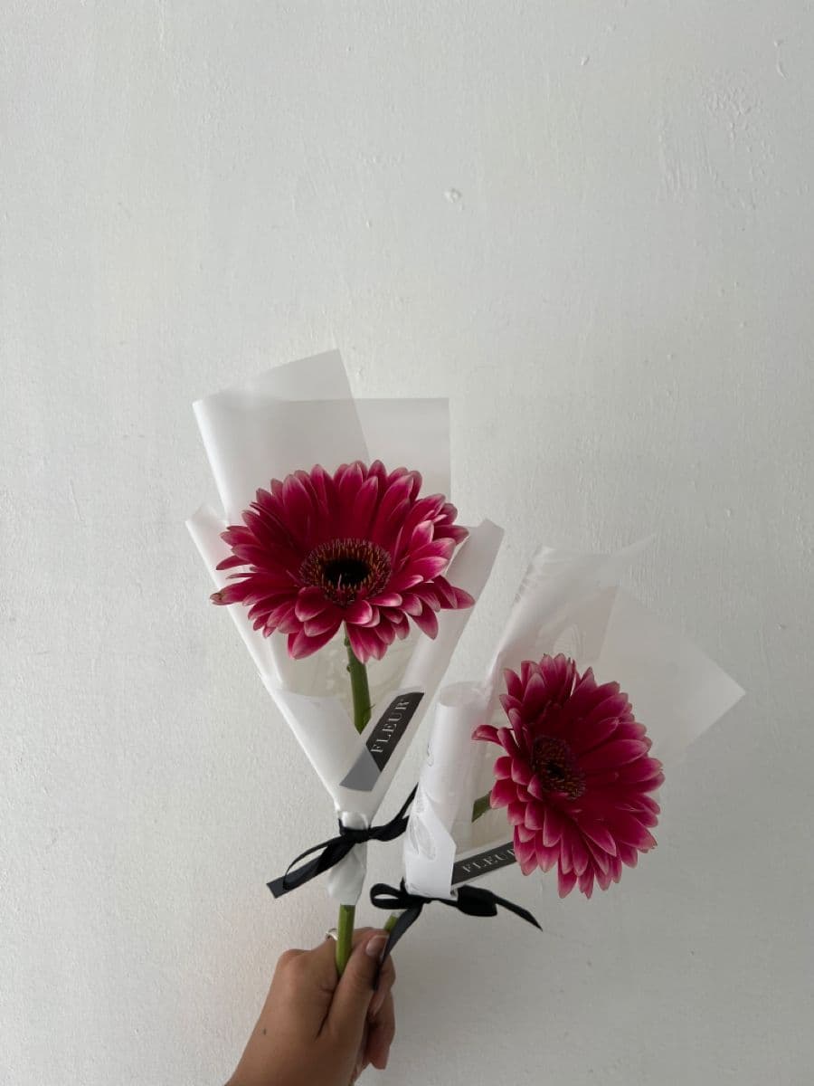 Роскошный лепесток 🌸