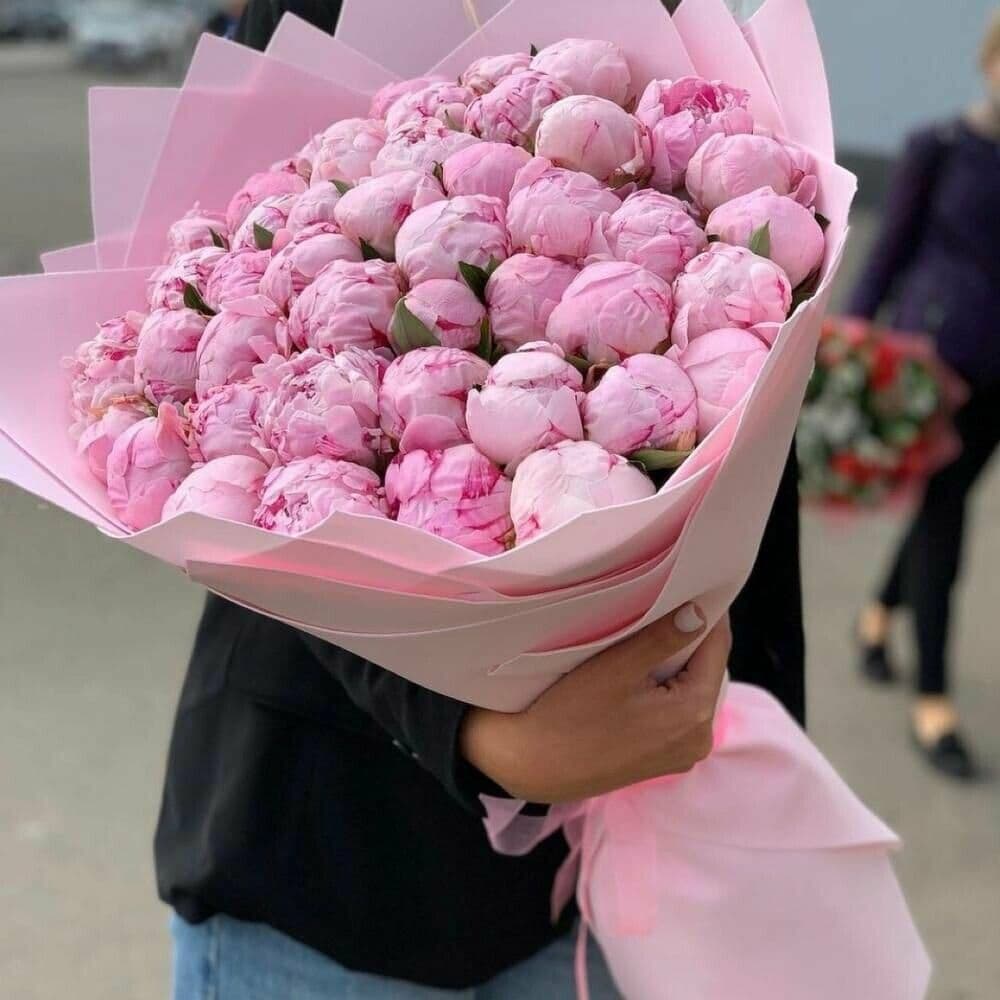51 пион