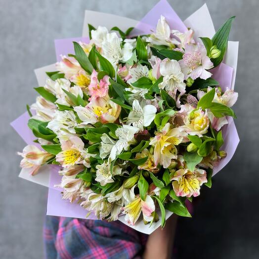 Bouquet of 15 delicate alstromeria
