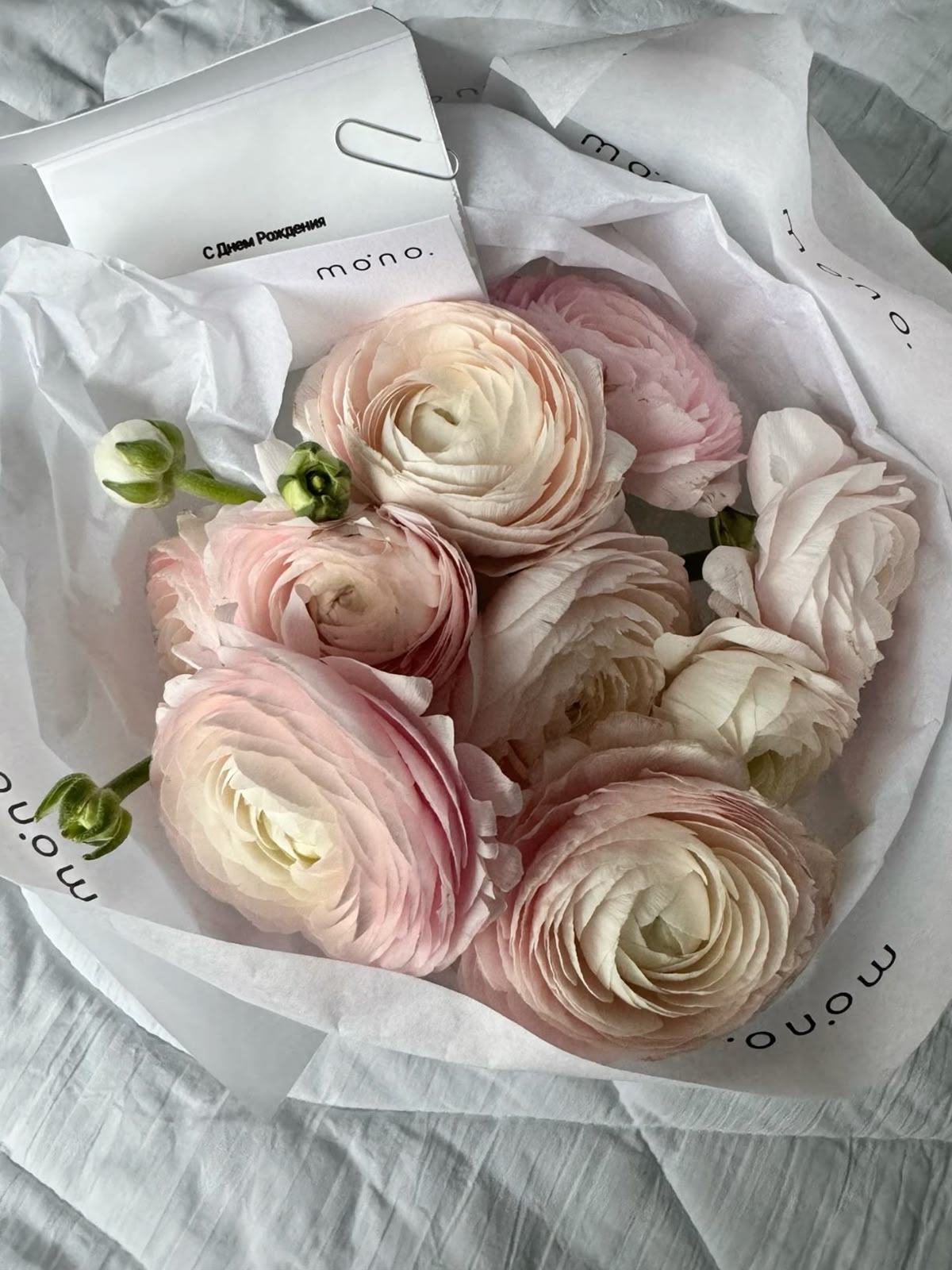 Fresh mono bouquet 🌿