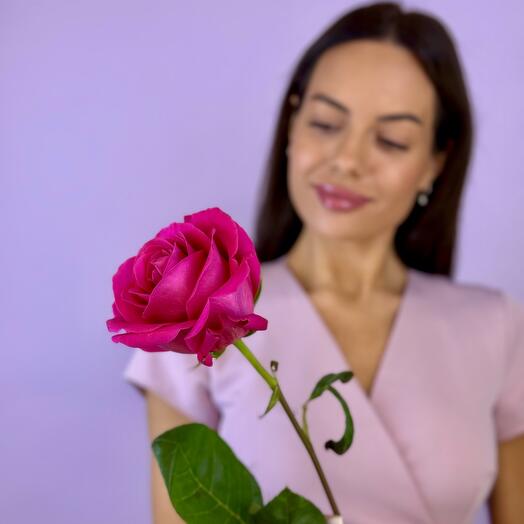 Роза Пинк Флойд