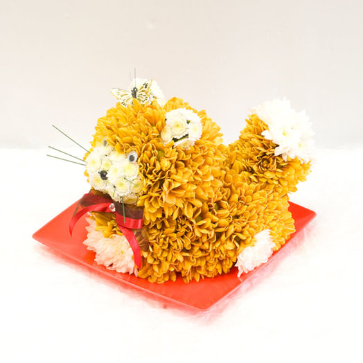 Фигура из цветов Кот