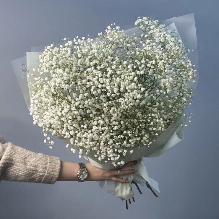 9 гипсофила