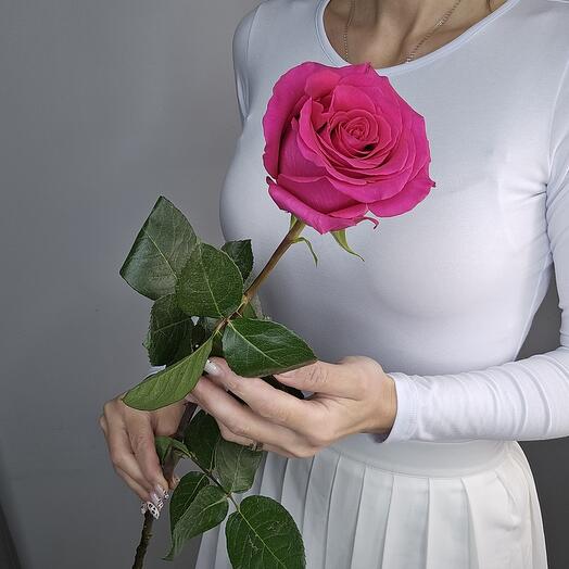 Роза Эквадор "Пинк Флойд"