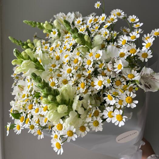 Chamomiles and anti -rinum in the bouquet "Field 🌾"