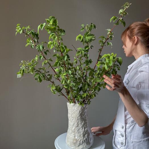 Малиновые ветви