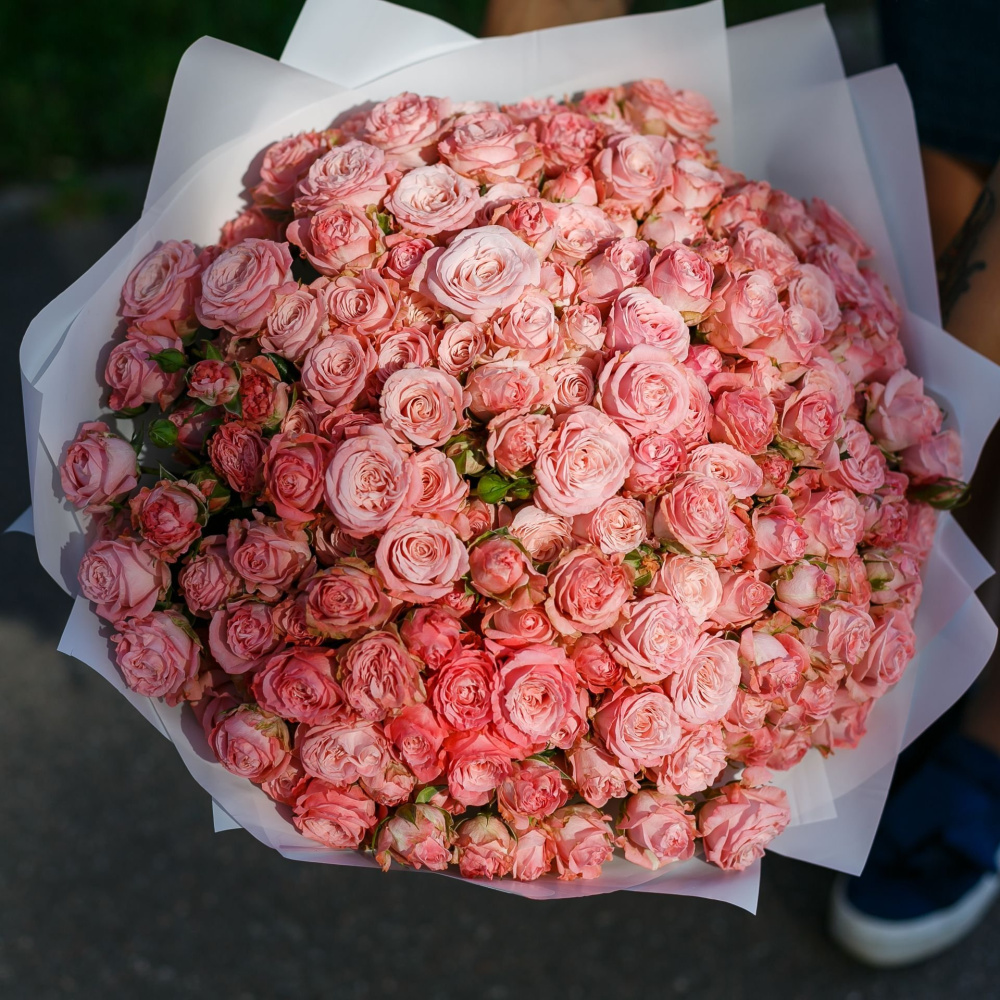 51 пионовидная роз